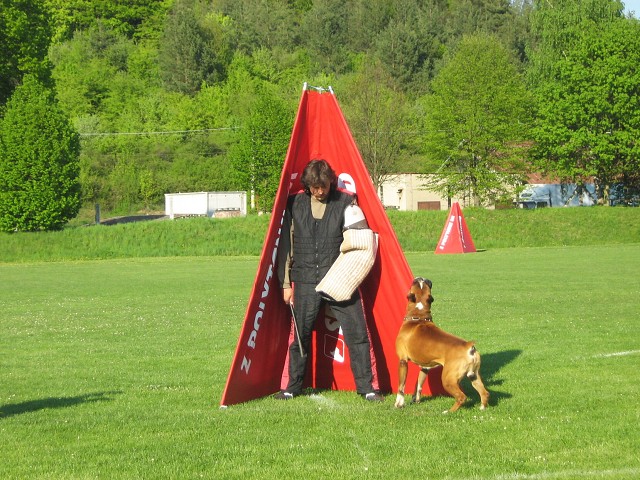 www.atibox.net * www.euroboxer.eu * www.boxergenealogia.eu
